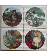 Ceramic Tile Mural Patio Cats Himilayan Tabby Orange - $29.69