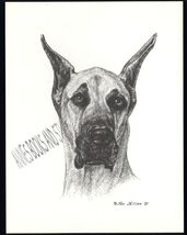 # 284 GREAT DANE portrait dog art print * Pen and ink drawing by Jan Jel... - $12.50