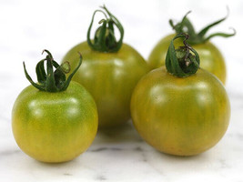 15 Fat Frog Micro Dwarf Tomato Seeds Fresh Gardening USA Seller - £5.65 GBP