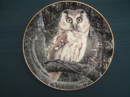 Tengmalm's Owl Collector Plate Night Watchman Trevor Boyer Owls Danbury Mint - $19.95