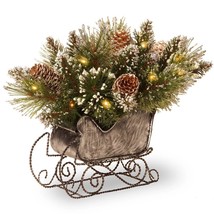 National Tree 10&quot; Glittery Bristle Pine Sleigh with White Tipped Cones 15 Lights - £51.44 GBP