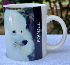 Poodle Coffee Mug Breed Origin Story White Ceramic Tea Cup 4” - $9.87