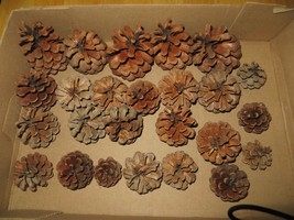 Assorted Size Pine Cones,  25 Cones Included - £6.30 GBP