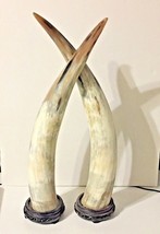 HORNS  22” TALL &amp; POLISHED  CARVED WOOD DISPLAY VINTAGE ASIAN  DECORATIVE - £170.67 GBP