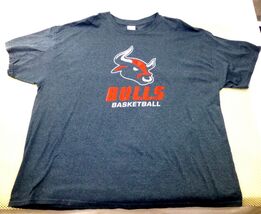 Bulls Basketball Gildan Heavy Cotton T-Shirt 3XL Dark Heather Gray 50/50... - $9.50