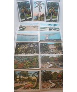 Vintage Florida Linen Postcards Lot of 13 Clearwater Tampa St. Petersburg - $24.55