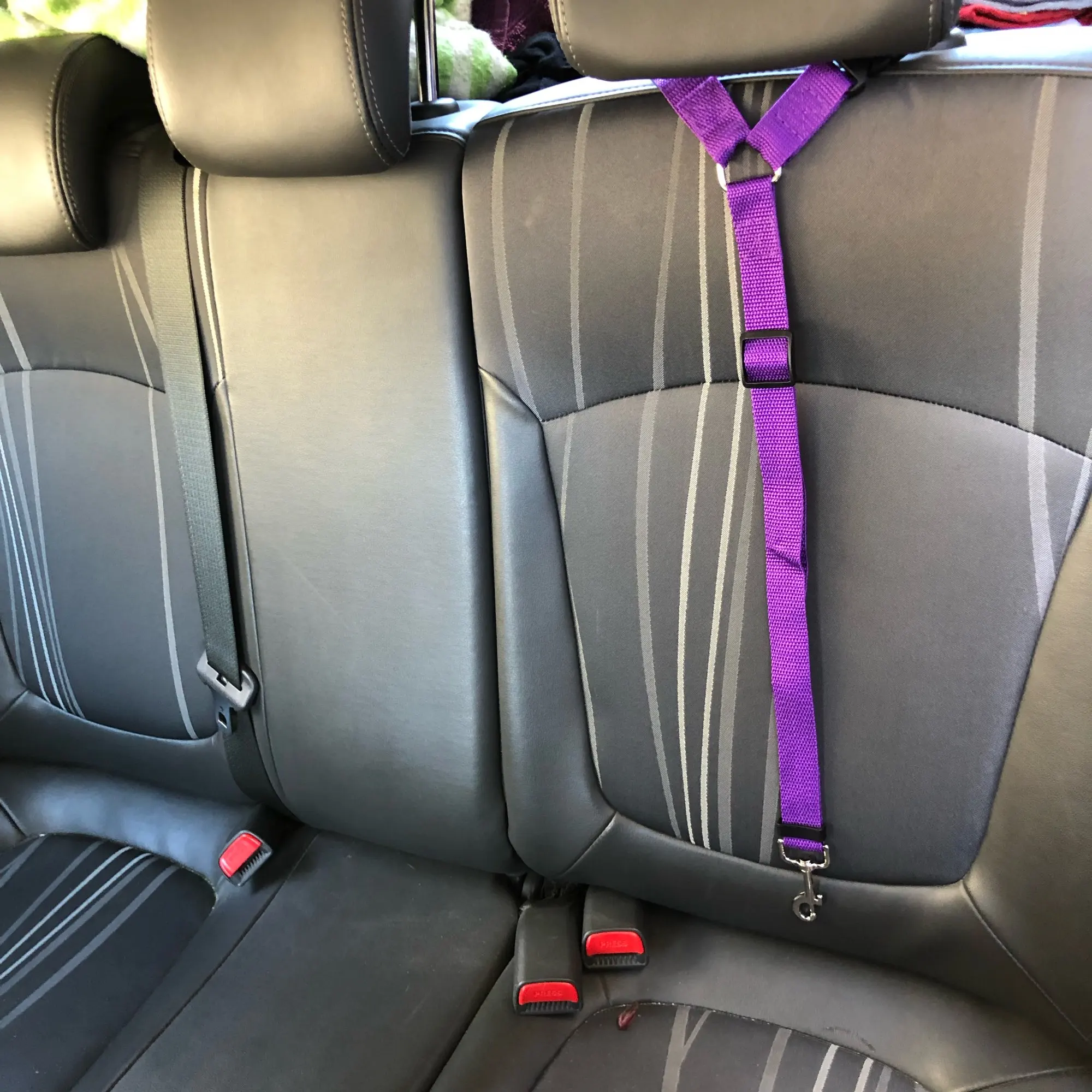 Lid color two in one pet car seat belt nylon lead leash backseat safety belt adjustable thumb200