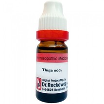 1x Dr Reckeweg Thuja Occidentalis 1000CH (1M) Dilution 11ml - £9.35 GBP