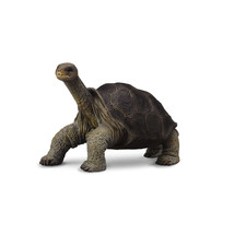 CollectA Pinta Island Tortoise George Figure (Medium) - $19.98