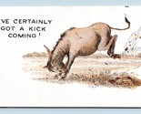 Got a Kick Coming Donkey Mule Comic Humor UNP DB Postcard M5 - $5.08