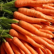 Imperator 58 Carrot Seeds 2000 Vegetable Garden Fresh Garden Seeds - £3.36 GBP