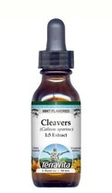 Cleavers (Bedstraw) - Glycerite Liquid Extract (1:5) - Mint Flavored (1 ... - £31.52 GBP