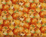 Cotton Pumpkins Fruits Foods Autumn Fall Orange Fabric Print by Yard D51... - $14.95