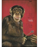 The Talking Heads 1988 Naked record album advertisement Chimpanzee ad print - £3.33 GBP