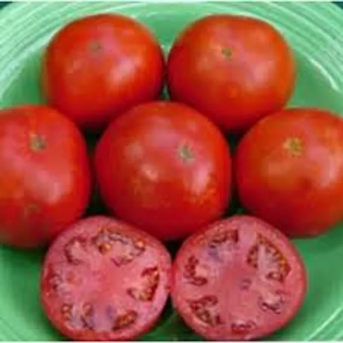 50 Seeds Top Gun Tomato Vegetable Garden - £7.83 GBP