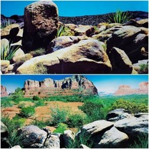 Double Sided Aquarium Background 16&quot; x 48&quot; Deep in Rock or Desert Scene Themed - £12.61 GBP