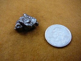 (x262-431) 14 g Campo del Cielo meteorite 1576 octahedrite fragment spec... - $32.71