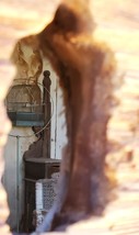 BODIE A CITY FROZEN IN TIME Birdcage Thru Hole in the Wall digital downl... - $72.98 MXN