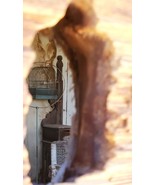 BODIE A CITY FROZEN IN TIME Birdcage Thru Hole in the Wall digital downl... - $73.21 MXN