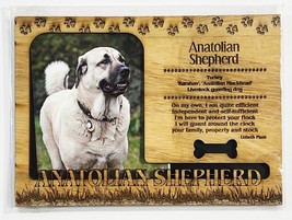 Anatolian Shepherd Dog Profile Laser Engraved Wood Picture Frame Magnet - £10.82 GBP