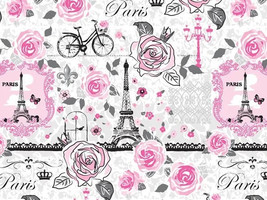 Gift Tissue Paper Made in USA 20x30&quot; Set of 12 Sheets, Pink Paris (Disco... - $142.65 MXN