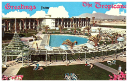 Greetings from The Tropicana Pool View  Las Vegas Nevada Hotel Postcard - £6.93 GBP