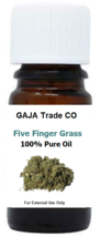 Five Finger Grass Oil 5ml – Money, Protection, Exorcism &amp;Spell Breaking,... - $185.11 MXN