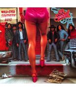 38 SPECIAL Wild-Eyed Southern Boys BANNER 2x2 Ft Fabric Poster Tapestry ... - $22.00