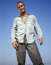 Paul Newman in Cool Hand Luke smiling pose looking downwards 16x20 Poster - £15.66 GBP
