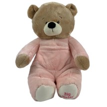 Genuine Baby Ganz Collection Big Sister Teddy Bear 14” Plush Pink Stuffe... - $19.75