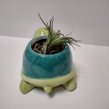 Sea Turtle Planter with Air Plant, 5" Blue Green Ceramic Tortoise Pot, Airplant image 5