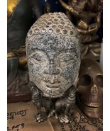 Schist Buddha Head Jibin Gandhara (Turkmenistan) Desecrated Relic 400 AD... - $639.90