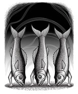 Stylish Fish Art Canvas Print, Home Décor Wall Art - $1,275.67 MXN
