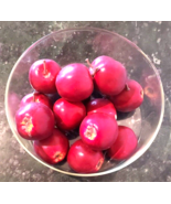 Lot 17 piece Artificial Mini Red Apples Faux Fake Fruit Plastic Home Decor - €11,20 EUR