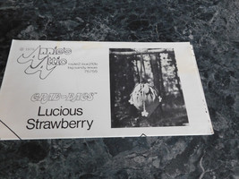 Annie&#39;s Attic Grab Bags Lucious Strawberry - $2.99