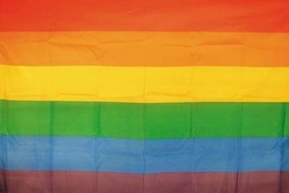 2 RAINBOW FLAG FL065 flags banners rainbows banner NEW pride wall hangings - $178.13 MXN