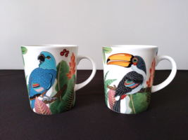 2 Stechcol Gracie Bone China Coffee Mugs Tropical Birds Parrot &amp; Toucan - £21.02 GBP