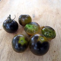 Black Bumblebee - unique gem of a tomato, new trial variety - $5.00