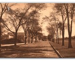 Midway Drive Street View University of Chicago Illinois IL Sepia DB Post... - $6.77