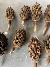 15 Natural Southern Magnolia Seed Pods Pine Cones Potpourri Craft &amp; Wrea... - £10.99 GBP