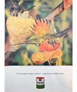 Fuller Paint Male Hummingbird Bright Colors Protects-1963 Vintage Print Ad - $10.35