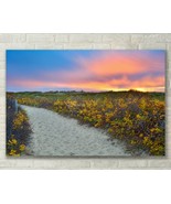 Cape Cod Sand Dunes, Beach Sunset Art - Fine Art Photo on Metal, Canvas ... - $34.50+