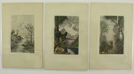 Vintage Paper Postcard Art De Vienne PTL River Lake Animal Deer 2124 2129 3PCS - £7.57 GBP