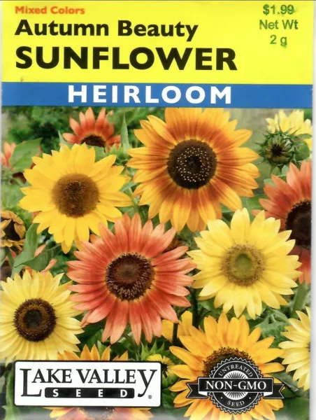 Sunflower Autumn Beauty Heirloom Non Gmo Flower Seeds Lake Valley 12/24 Fresh Ne - £6.89 GBP