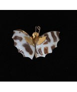 Shell BUTTERFLY White and Brown BROOCH Pin in Gold-Tone -1 3/4 inches -F... - £15.55 GBP