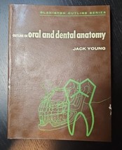 Outline of Oral and Dental Anatomy Softcover by Jack Young DMD McGraw Hi... - $23.50