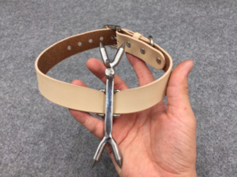 Stainless Steel Heretics Fork Forced Posture Collar - $45.00