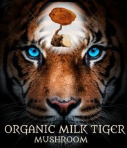 Milk Tiger Mushroom extract vegan capsules (60) CERTIFIED ORGANIC - £16.86 GBP