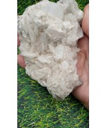 Calcite White  w/ Golden Pyrite  on Matrix,from Borieva mine, Bulgaria - $63.89 CAD