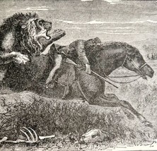 Baldwin Escapes Lion Attack During Hunt 1887 Wood Engraving Victorian Art DWEE34 - £19.97 GBP